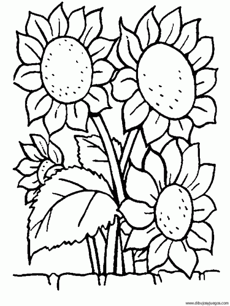 Dibujo Flores Girasoles 008 Dibujos Y Juegos Para Pintar Y Colorear