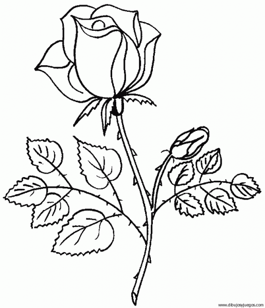 dibujo-flores-rosas-001 | Dibujos y juegos, para pintar y colorear