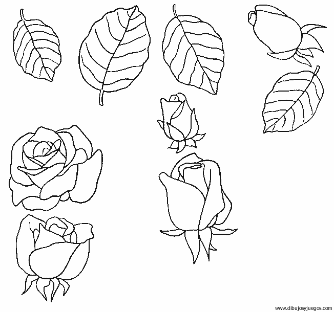 dibujo-flores-rosas-011.gif