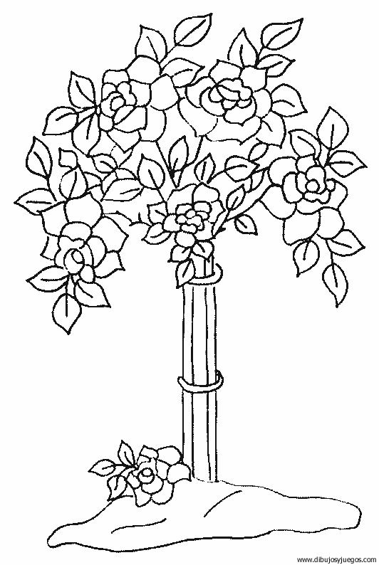 dibujo-flores-rosas-014.gif