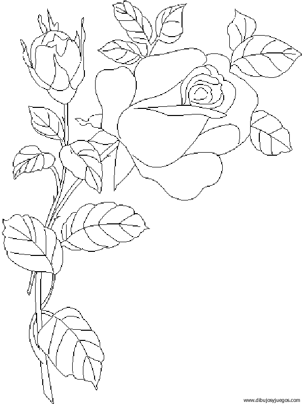 dibujo-flores-rosas-017.gif