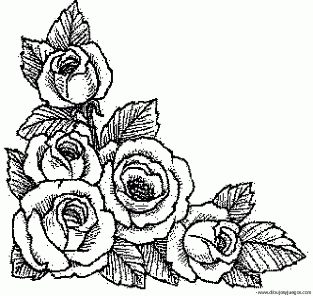 dibujo-flores-rosas-018 | Dibujos y juegos, para pintar y colorear