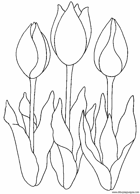 dibujo-flores-tulipanes-008.gif