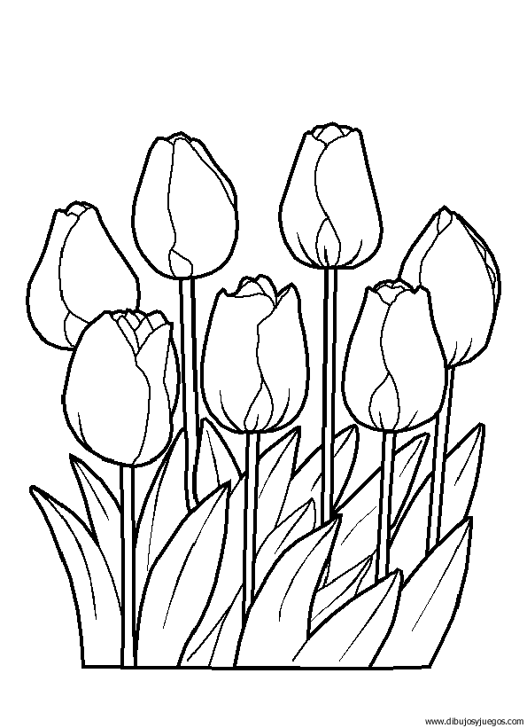dibujo-flores-tulipanes-020.gif