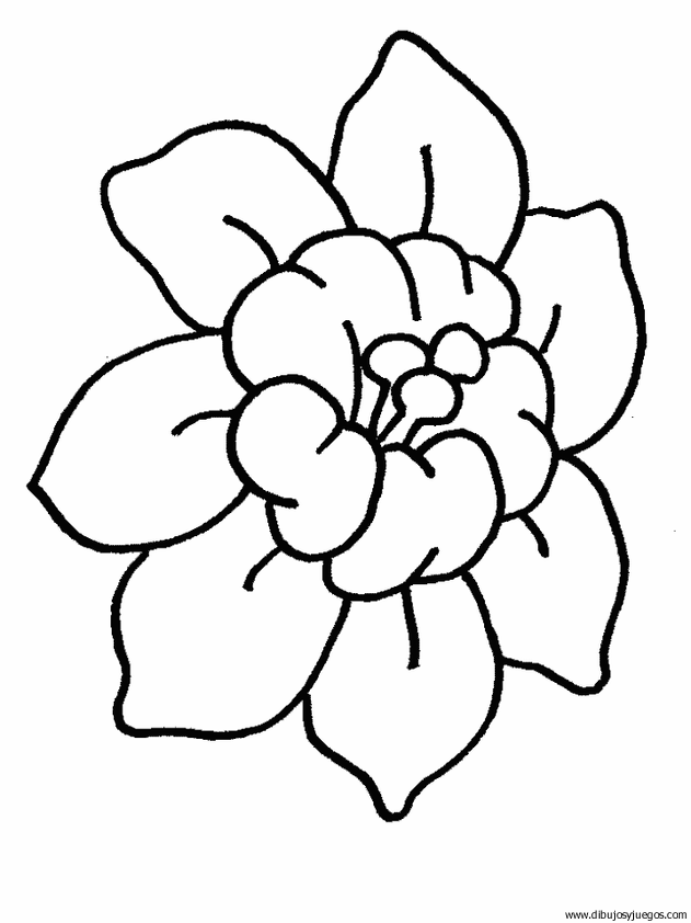 dibujo-flores-varios-014.gif