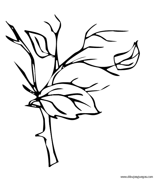 dibujo-arboles-hojas-014.gif