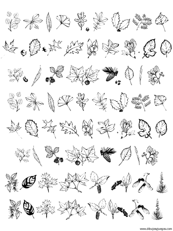 dibujo-arboles-hojas-044.gif