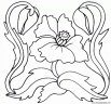 dibujo-flores-amapolas-007