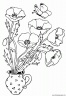 dibujo-flores-amapolas-006