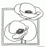 dibujo-flores-amapolas-009