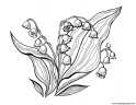 dibujo-flores-campanitas-023