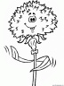 dibujo-flores-claveles-002