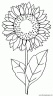 dibujo-flores-girasoles-004