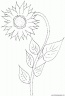 dibujo-flores-girasoles-005