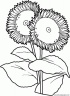 dibujo-flores-girasoles-007