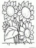 dibujo-flores-girasoles-008
