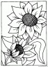 dibujo-flores-girasoles-010