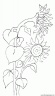 dibujo-flores-girasoles-011