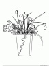dibujo-flores-ramos-012