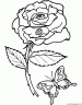 dibujo-flores-rosas-006