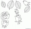 dibujo-flores-rosas-011
