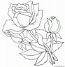 dibujo-flores-rosas-012