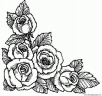 dibujo-flores-rosas-018
