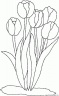 dibujo-flores-tulipanes-013