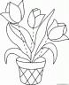 dibujo-flores-tulipanes-018