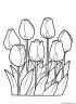 dibujo-flores-tulipanes-020