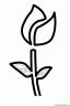 dibujo-flores-tulipanes-021