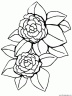 dibujo-flores-varios-058