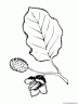 dibujo-arboles-hojas-003