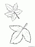 dibujo-arboles-hojas-007