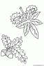dibujo-arboles-hojas-008