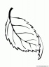 dibujo-arboles-hojas-012
