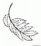 dibujo-arboles-hojas-013
