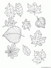 dibujo-arboles-hojas-039