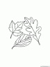 dibujo-arboles-hojas-046