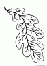 dibujo-arboles-hojas-061