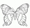 dibujo-de-mariposa-124