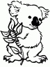 dibujo-de-koala-015