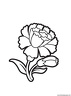 dibujo-flores-claveles-000